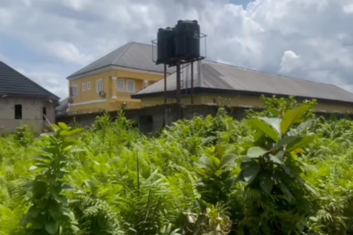 3 Plots of Land For Sale